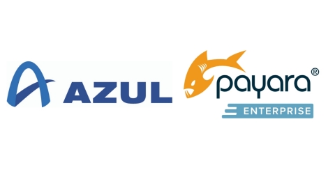 Azul Systems Logo