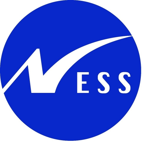 Ness Logo