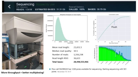 Figure 1. Results from a long-read DNA sequencing of an E. Coli bacterial sample on a single ONT MinION flow cell following NAIP with Fire Monkey/Fire Flower v8 protocol. Copyright RevoluGen. (Graphic: Business Wire)