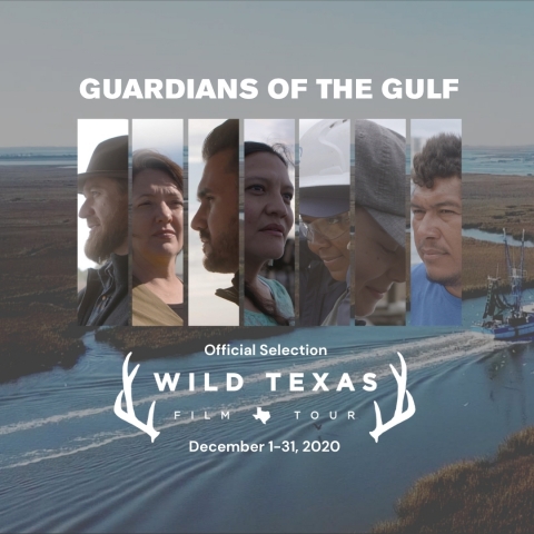 Guardians of the Gulf, produced by Mary Kay Inc., will screen online for free during the month of December as part of the Wild Texas Film Tour. (Graphic: Mary Kay Inc.)