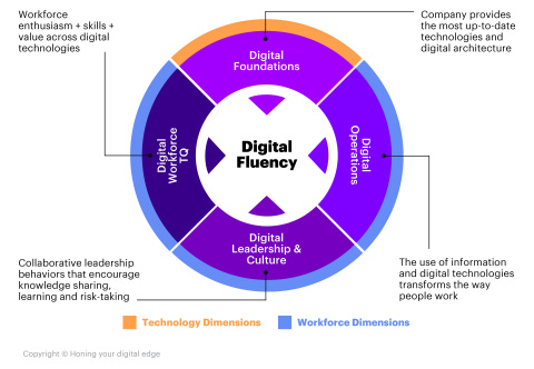 Digital Fluency Infographic (Graphic: Business Wire)