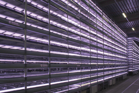 YesHealth Group and Nordic Harvest complete first phase of construction on Europe's largest vertical farm. The new vertical farm stands 14-stories high in a 7000 sq. meter facility at Copenhagen Markets, on the outskirts of Denmark’s capital. (Photo: Business Wire)