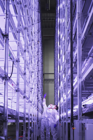 thumbnail YesHealth Group en Nordic Harvest ronden de eerste fase van de constructie van de grootste verticale boerderij van Europa af. De nieuwe verticale boerderij is 14 verdiepingen hoog in een faciliteit van 7000 vierkante meter bij Copenhagen Markets, aan de rand van de hoofdstad van Denemarken. (Foto: Business Wire)
