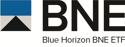 Blue Horizon Capital Logo