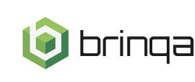 Brinqa, Inc. Logo
