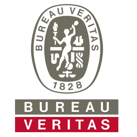 Bureau Veritas Logo