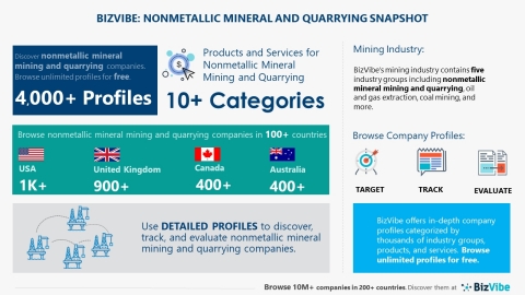 Snapshot of BizVibe's nonmetallic mineral mining and quarrying industry group and product categories (Graphic: Business Wire)