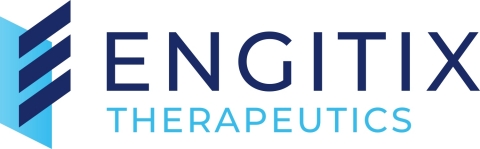 Engitix Ltd Logo