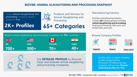 Snapshot of BizVibe's animal slaughtering and processing industry group and product categories (Graphic: Business Wire)