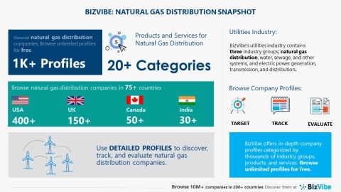 Snapshot of BizVibe's natural gas distribution industry group and product categories. (Graphic: Business Wire)