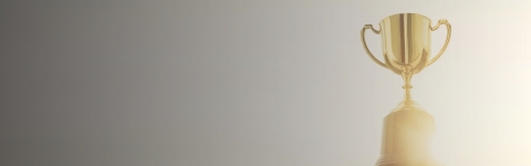 thumbnail Rimini Street Wins Three Gold Pillar World Awards® for Great Workplace of the Year in the U.S., Asia-Pacific and Latin America (Graphic: Business Wire)