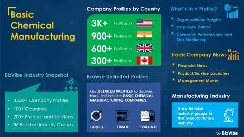 Snapshot of BizVibe's basic chemical manufacturing industry group and product categories. (Graphic: Business Wire).