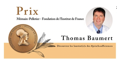 original Copyright Alentis Therapeutics