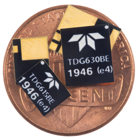 Teledyne HiRel's two new GaN HEMTs added to its 650 V Family. (Photo: Business Wire)