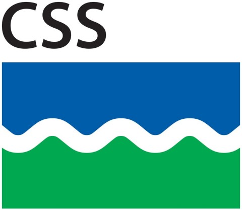 CSS Logo