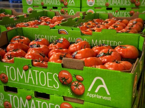 AppHarvest announces its first harvest of tomatoes from flagship high-tech indoor farm are shipping to select national grocery stores this week. The sustainably grown tomatoes first will be available in select national retailers such as Kroger, Publix, Walmart, Food City and Meijer. (Photo: Business Wire)