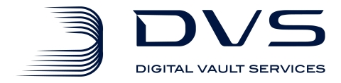 Digital Vault Services Logo