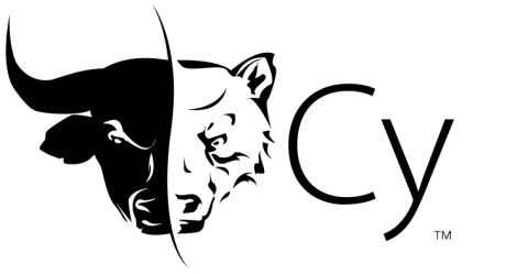 WBI Investments Logo