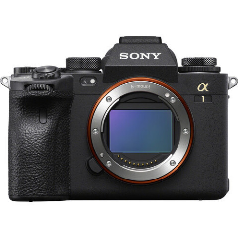 Sony Alpha a1 Mirrorless Digital Camera (Photo: Business Wire)