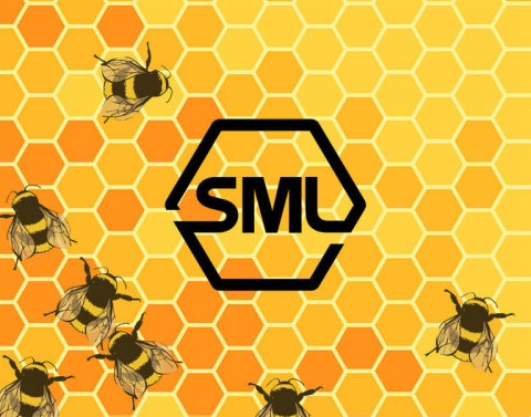 SanMelix Laboratories Logo