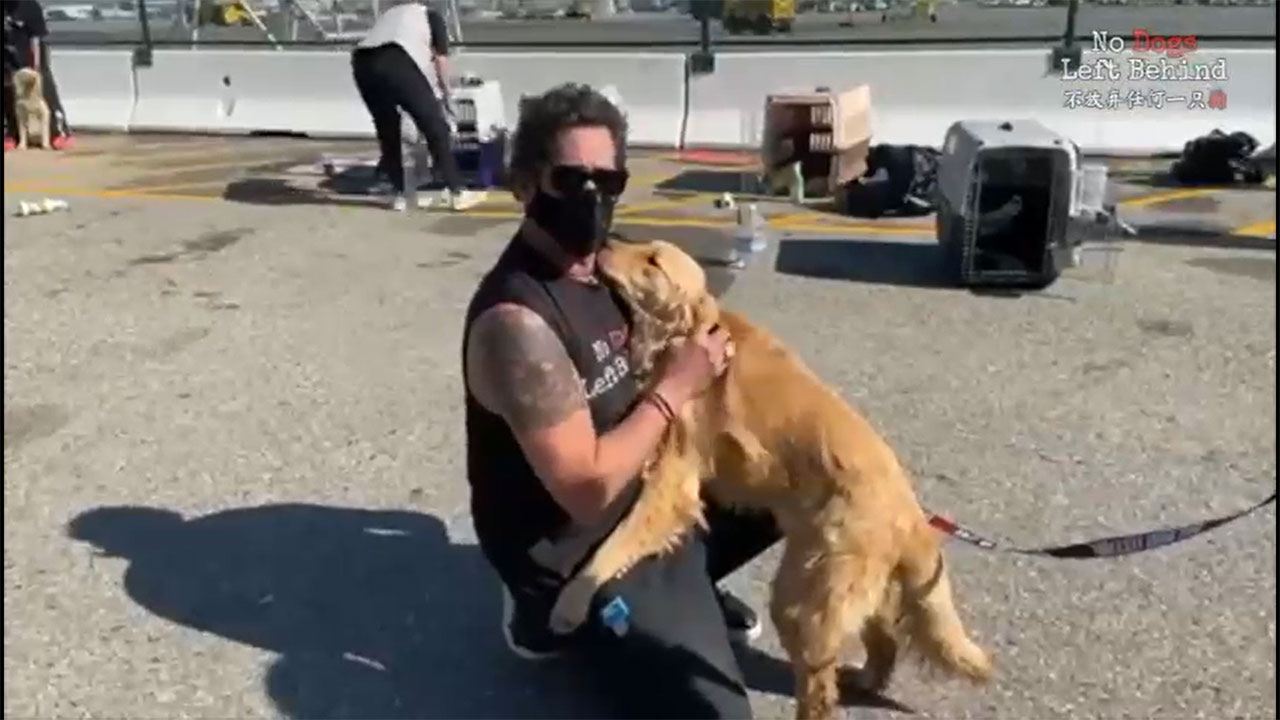 Cali, the golden retriever says goodbye to the man who saved her from slaughter before she leaves with her new family.