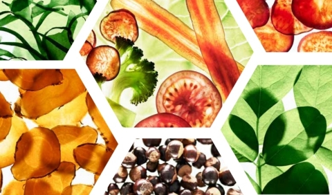 original Source: LR Health & Beauty