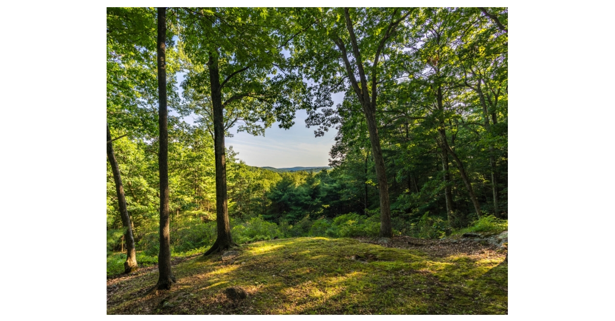 End-of-Life Massage Therapy Benefits - Better Place Forests