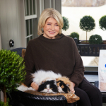 Martha-Stewart_Pretty-Litter_1593_V2_GenericBag_PR.jpg