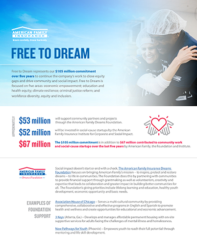 original Free to Dream Fact Sheet