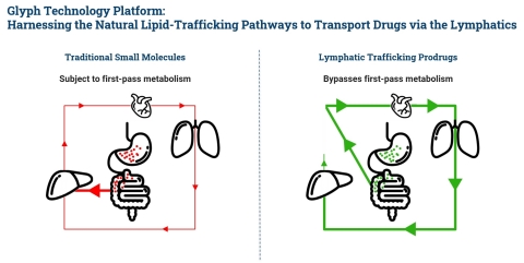 PureTech announced the publication of a paper in the Journal of Controlled Release. Results provide further preclinical proof-of-concept for PureTech’s lymphatic targeting technology platform Glyph, which is designed to traffic small molecule therapeutics directly into the lymphatic system via oral administration. (Graphic: Business Wire)