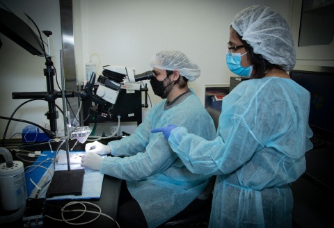 original Tomas Huerta (left) and Sangeeta Chavan (right) of the Feinstein Institutes. (Credit: The Feinstein Institutes for Medical Research).