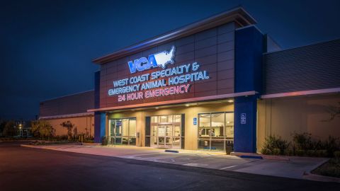 VCA West Coast Specialty and Emergency Animal Hospital (Photo: Business Wire)