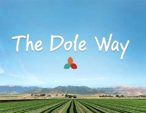 original The Dole Way framework paves the way for further improvements in areas where Dole believes it can make the biggest positive impacts (Photo: Business Wire)