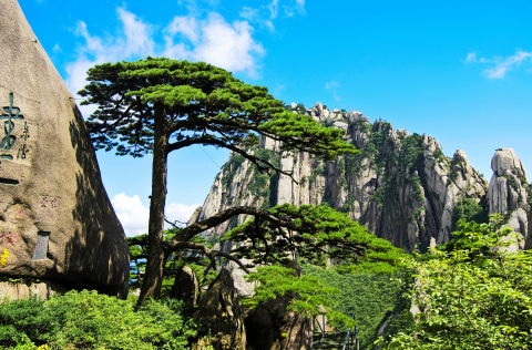 original “Cloud exhibition” shows the best of Mount Huangshan at the world’s largest tourism fair (Photo: Business Wire)