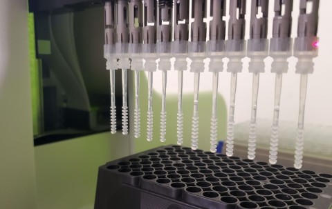 thumbnail Revolutionizing Laboratory Workflows. The RHINOstic automated nasal swab seamlessly integrates rapid sample accessioning and decapping with rapid assay worklows. (Photo: Business Wire)