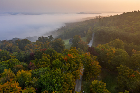 Better Place Forests Berkshires (Photo: Better Place Forests)