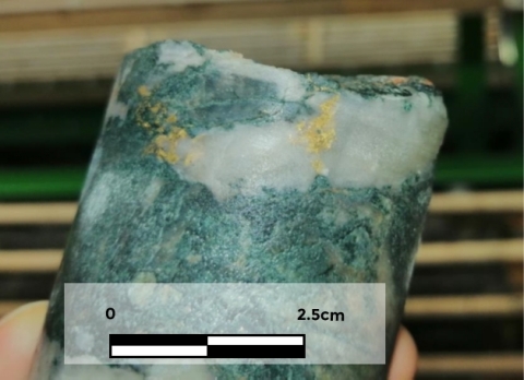 Figure 5b – Visible gold in hole 121010 at 259m – the interval in this hole contained twelve separate 1 metre samples grading over 10g/t Au. (Photo: Business Wire)