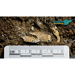 Square%20cgtnoriginal