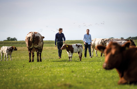 Daan Luining, CTO and co-founder (left) and Krijn de Nood, CEO and co-founder of Meatable, a Dutch food company, aim to deliver, at scale, the new natural, cultivated meat that looks like, tastes like, and has the nutritional profile of traditional meat. (Photo: Business Wire)