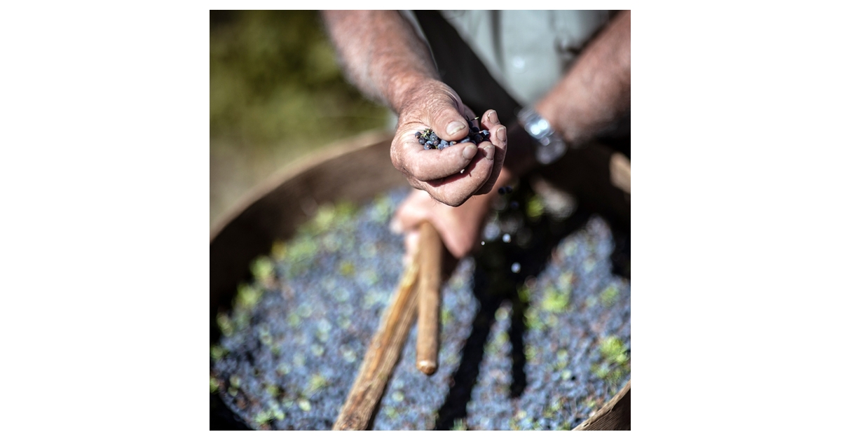 BOMBAY SAPPHIRE® ON A MISSION TO BE THE WORLD’S MOST SUSTAINABLE GIN