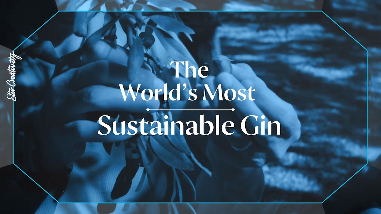 BOMBAY SAPPHIRE is the first major brand to have all 10 of its botanical ingredients on track to be 100% sustainably-sourced and certified by the end of 2021. This news is a major step towards Bacardi, the largest privately-held spirits company in the world, that owns the gin brand, achieving its 2025 goal of sourcing 100% of its key ingredients from sustainably certified suppliers.