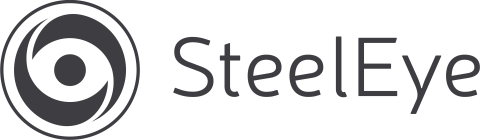 SteelEye Logo