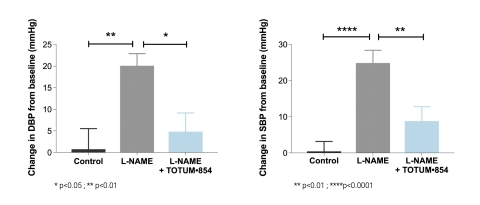 Figure 1: Effect of TOTUM•854 supplementation on systolic (SBP) and diastolic (DBP) blood pressure after 3 weeks, in an induced hypertension model (L-NAME model). After 3 weeks, L-NAME induced a 24 mmHg-raise in SBP and a 19 mmHg- raise in DPB (grey bars). Supplementation with TOTUM•854 (blue bars) significantly reduced SBP by 16 mmHg (p0.01) and DBP by 15 mmHg (p0.05). (Graphic: Business Wire)