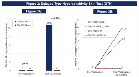 Figure 3 from Poster Presentation CT183 from 2021 AACR Annual Meeting DTH Skin Test: The DTH skin test measures the diameter of the skin immune response to GP2 in millimeters, 48-72 hours after intradermal injection of GP2 without GM-CSF. Figure 3A shows that after completion of the 6th immunization after 6 months, GP2 treated patients showed a robust immune response using the DTH skin test, while the placebo did not (p = 0.009). The change from baseline in DTH at 6 months was more robust in the GP2 treated patients. Figure 3B shows that the DTH immune response for GP2 treated patients was similarly robust in HER2 3+ patients and HER2 1-2+ patients, independent of prior trastuzumab treatment and HER2 expression levels. Thus, GP2’s robust immune response in the HER2 1-2+ population suggests the potential to apply GP2 immunotherapy to HER2 low to intermediate expressing breast cancers, as well as to other HER2 1-3+ expressing cancers. (Graphic: Business Wire)