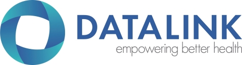 DataLink Software Logo