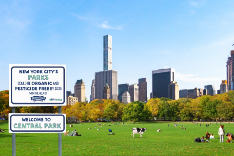 Stonyfield Organic Aims to Convert Central Park, Prospect Park and Grant Park Into Organic Grounds by 2025 as Part of Stonyfield #PlayFree Initiative (Photo: Business Wire)