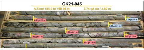 Photo 1. A Zone DZ Shear-Hosted Mineralization in GK21-045 (Photo: Business Wire)