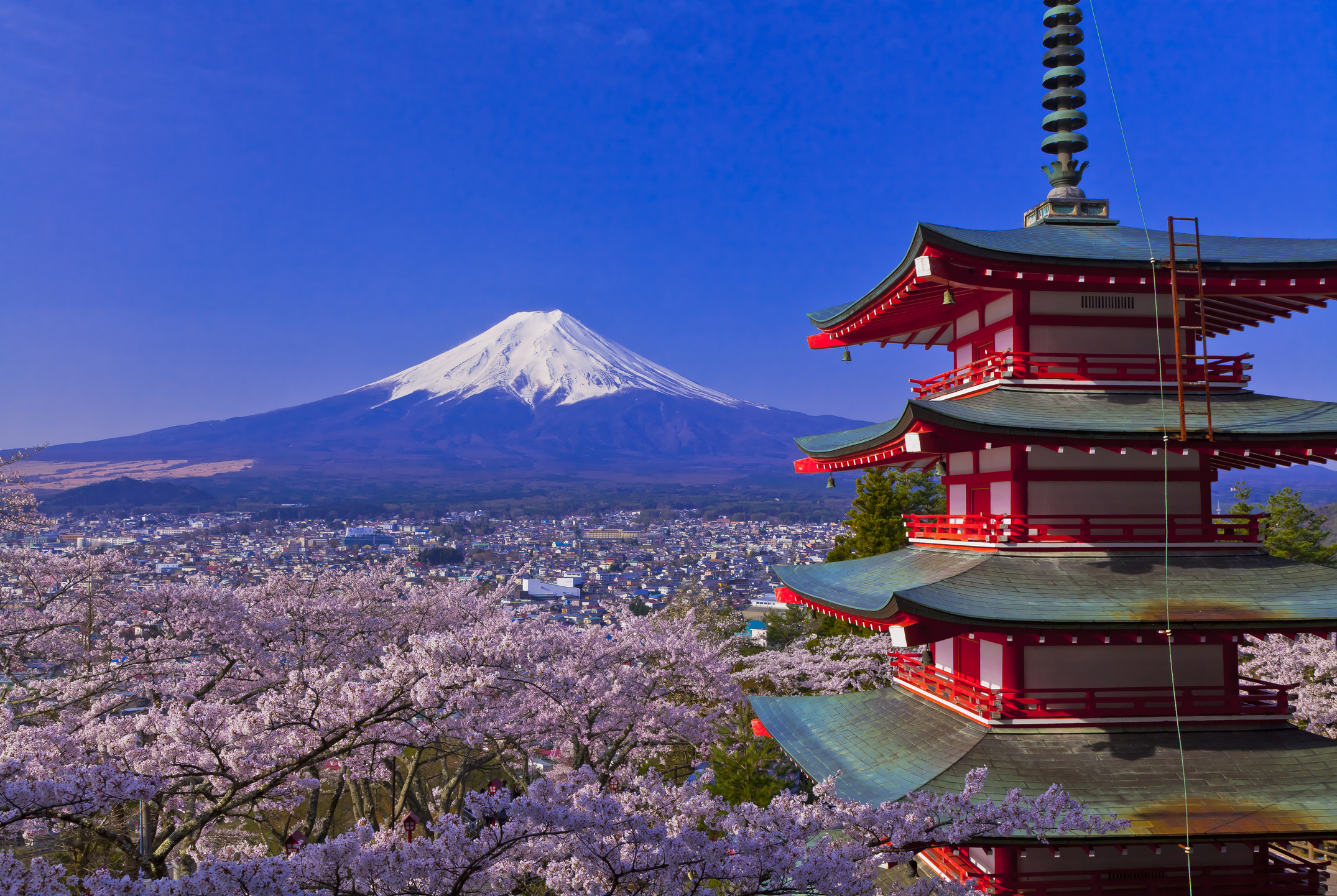 Le Japon rouvre ses portes aux touristes