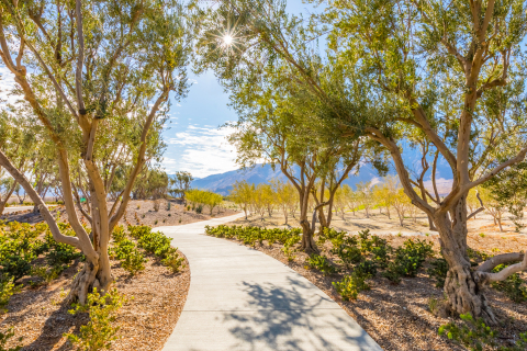 Miralon Palm Springs Walking Trails (Photo: Business Wire)