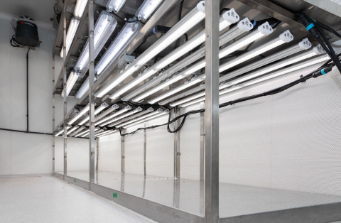 thumbnail Horticultural lighting with SunLike LED in agriculture laboratories of IRSTEA (Photo: Business Wire)